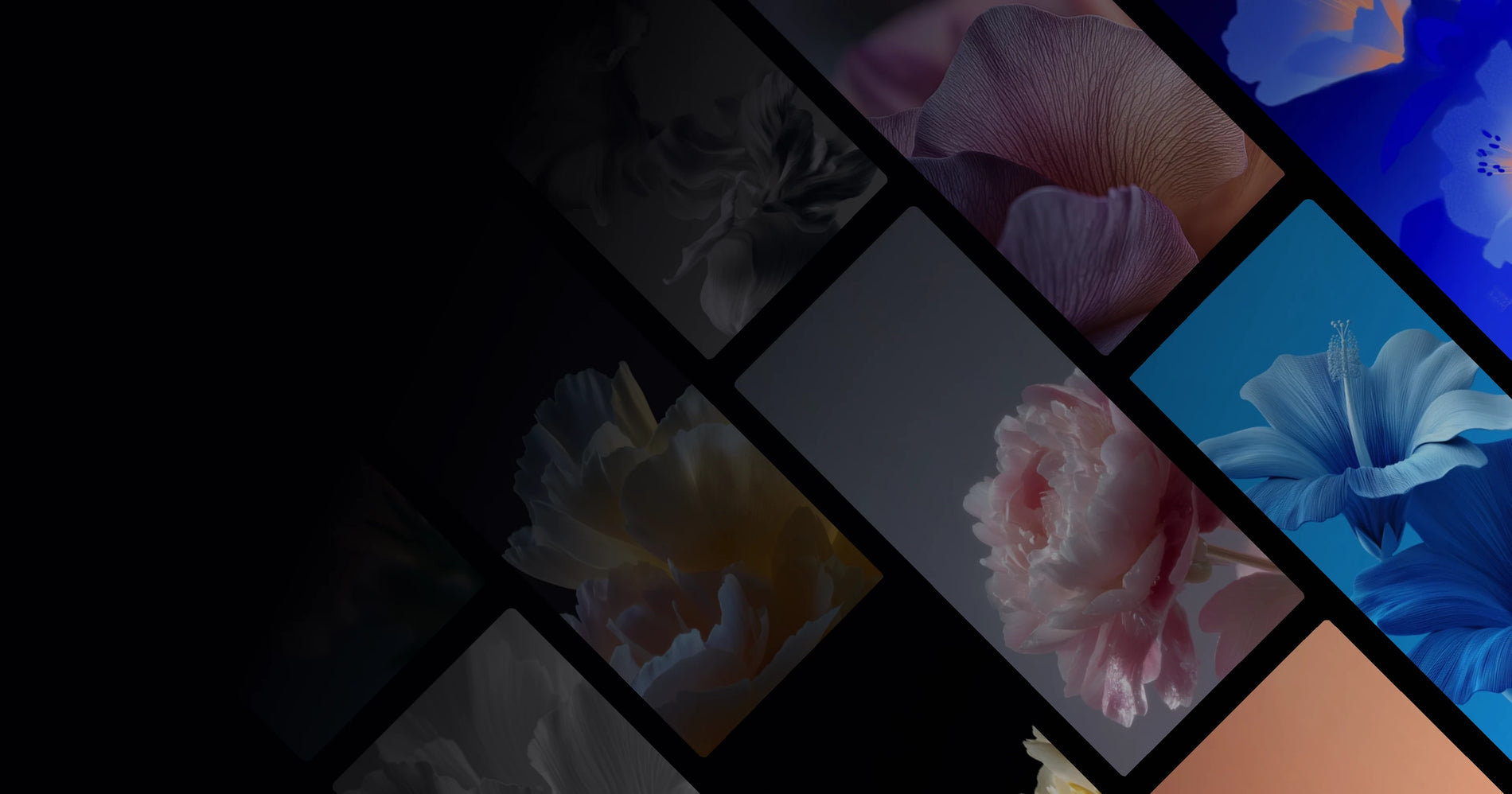 Ethereal Flower Art: Blue and Pink Blossom Collections for Calm Spaces