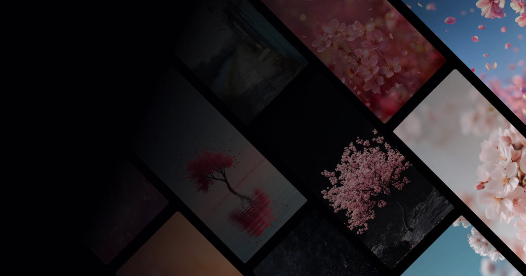 Cherry Blossom Poetics: Nature, Time, and the Soul's Quiet Dialogue