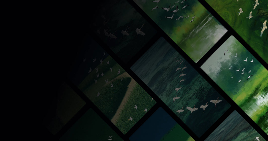 Egrets Soaring Over Lush Wetlands – Serene Nature Scene