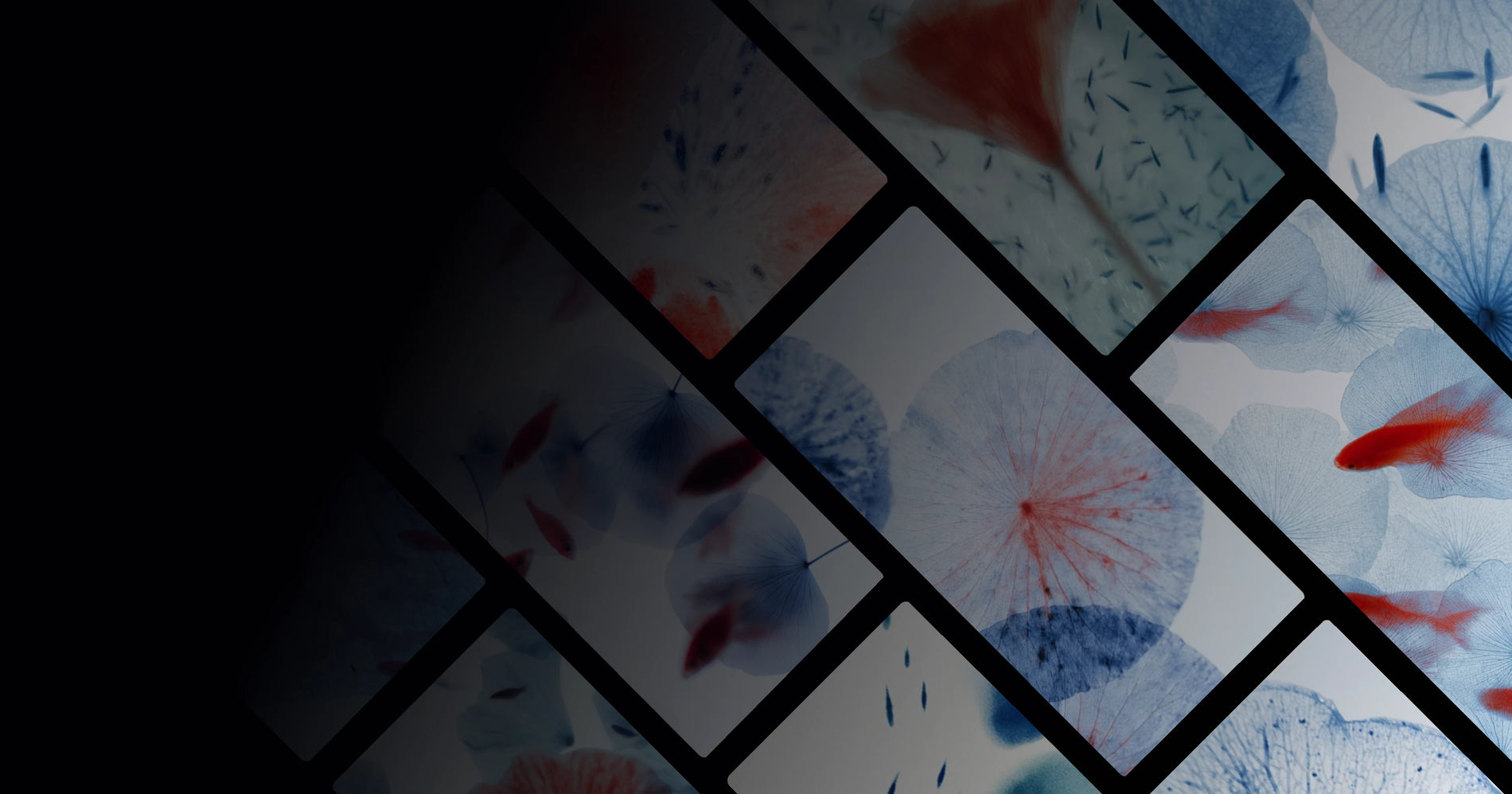 Tranquil Blue and Red Nature Artwork with Floating Leaves and Fish