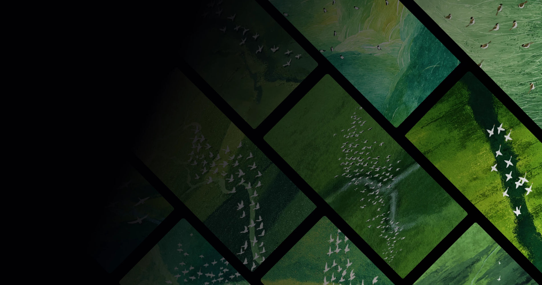 Flying Birds Over Lush Green Fields – Nature’s Rhythmic Journey