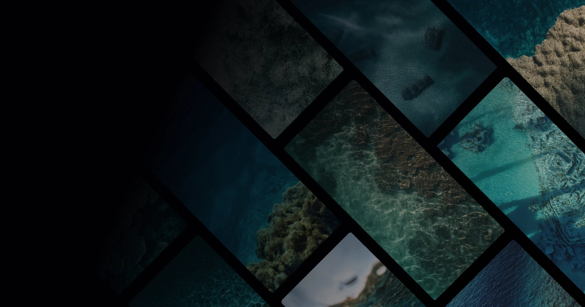 A Serene Journey Through Ocean Depths and Living Reefs