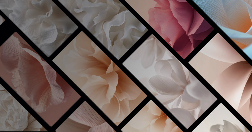 Serene Petal Forms in Gentle Light – A Study in Natural Elegance