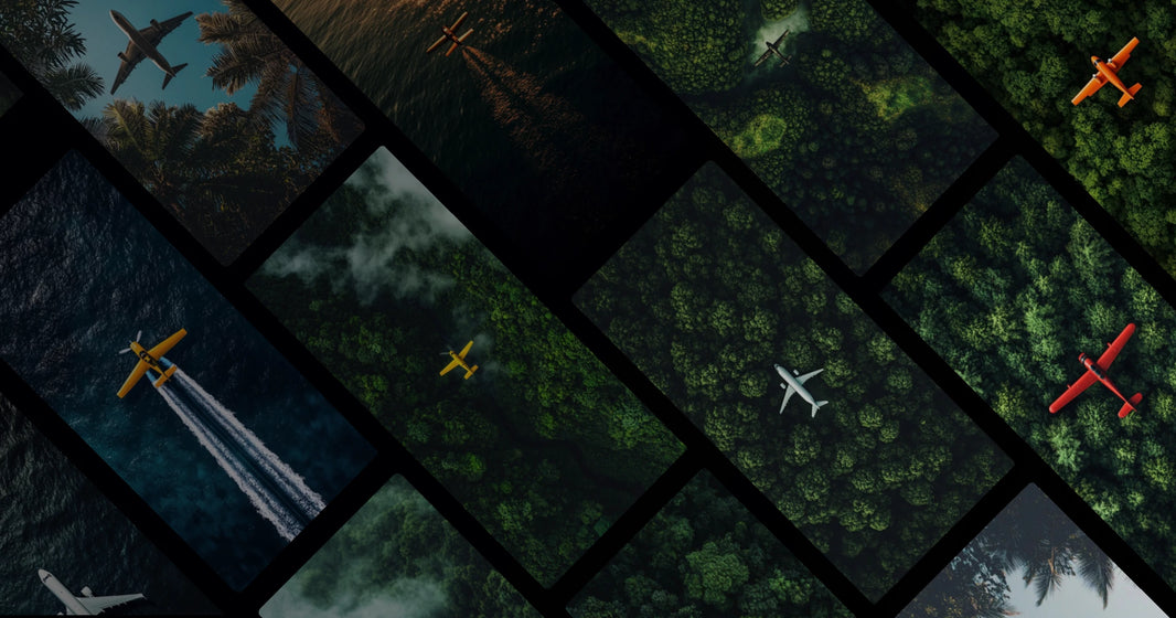 Flight Over Nature: Aerial Views of Forests, Oceans, and Skies