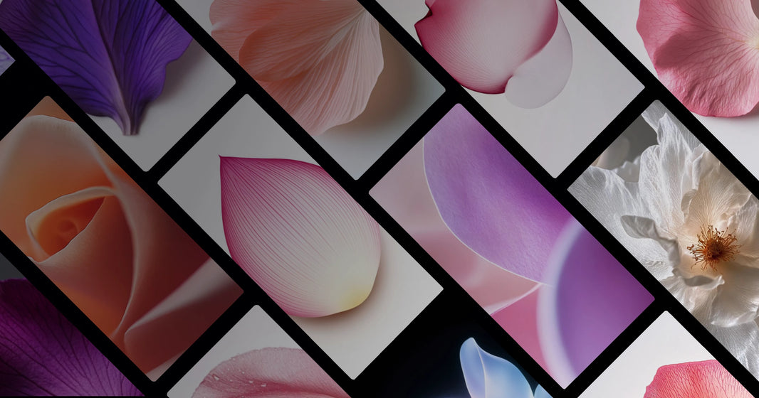Delicate Petal Art: A Serene Study in Natural Beauty and Emotional Depth