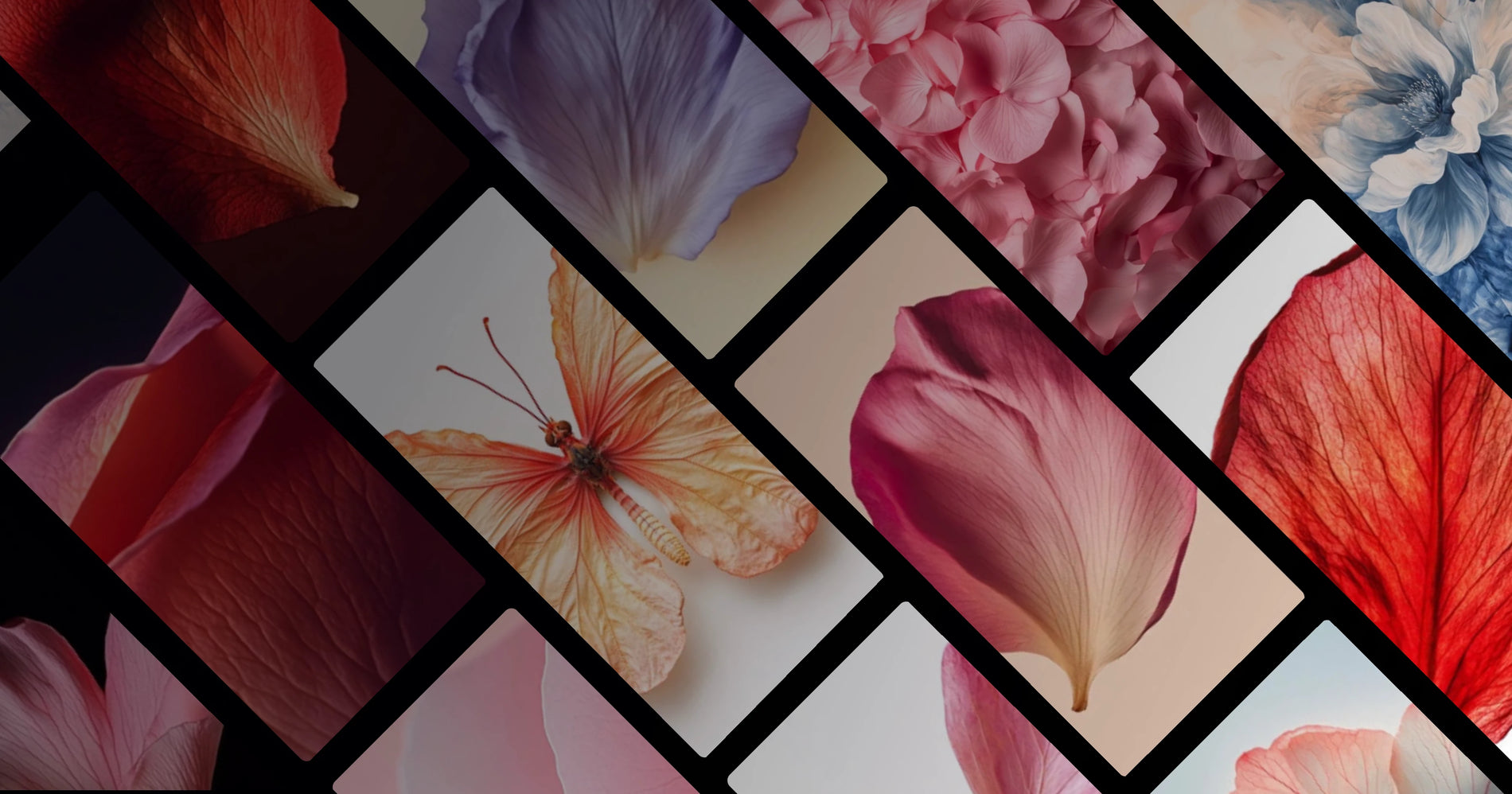 The Delicate Beauty of Petal Textures and Colors