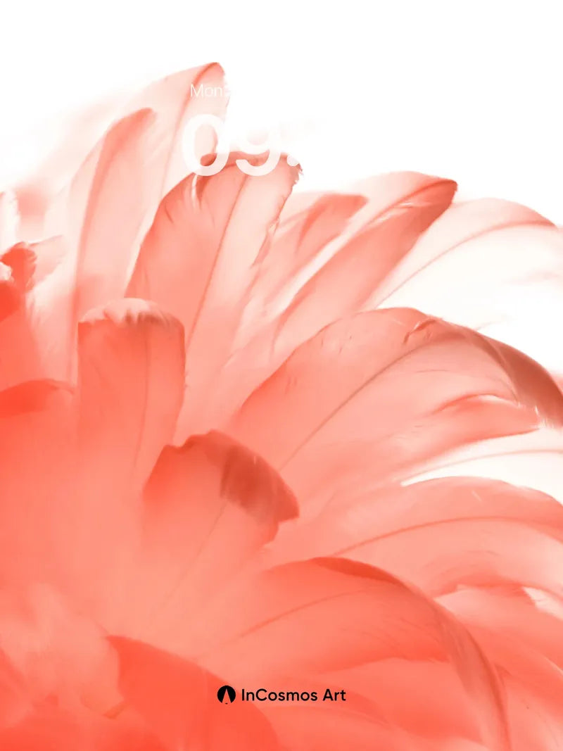 Crimson Feather Wallpaper with Ethereal Light