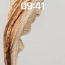Whispering Veil Wallpaper with Ancient Pulse wallpaper for iPhone, iPad & Mac