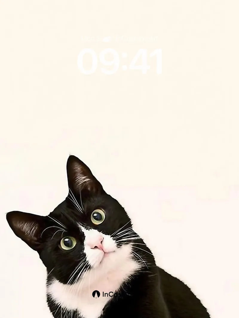 Whispering Contrast Wallpaper with Velvet Gaze