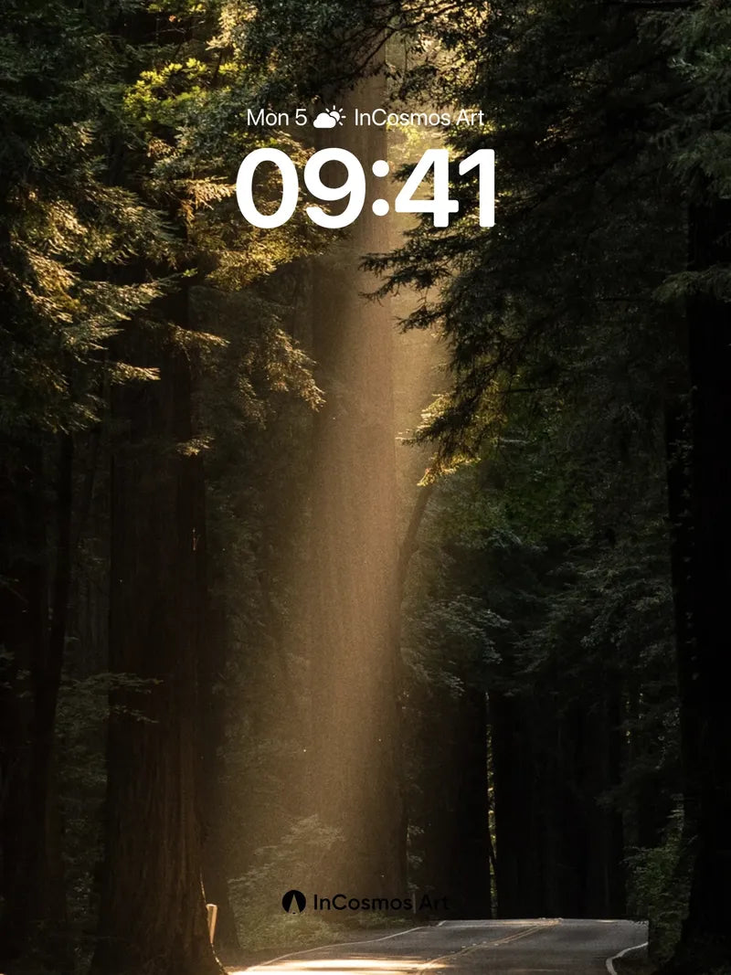 Golden Hush Road Wallpaper with Sunbeam Veil