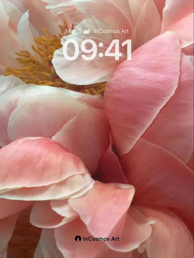 Velvet Petal Wallpaper with Golden Heart