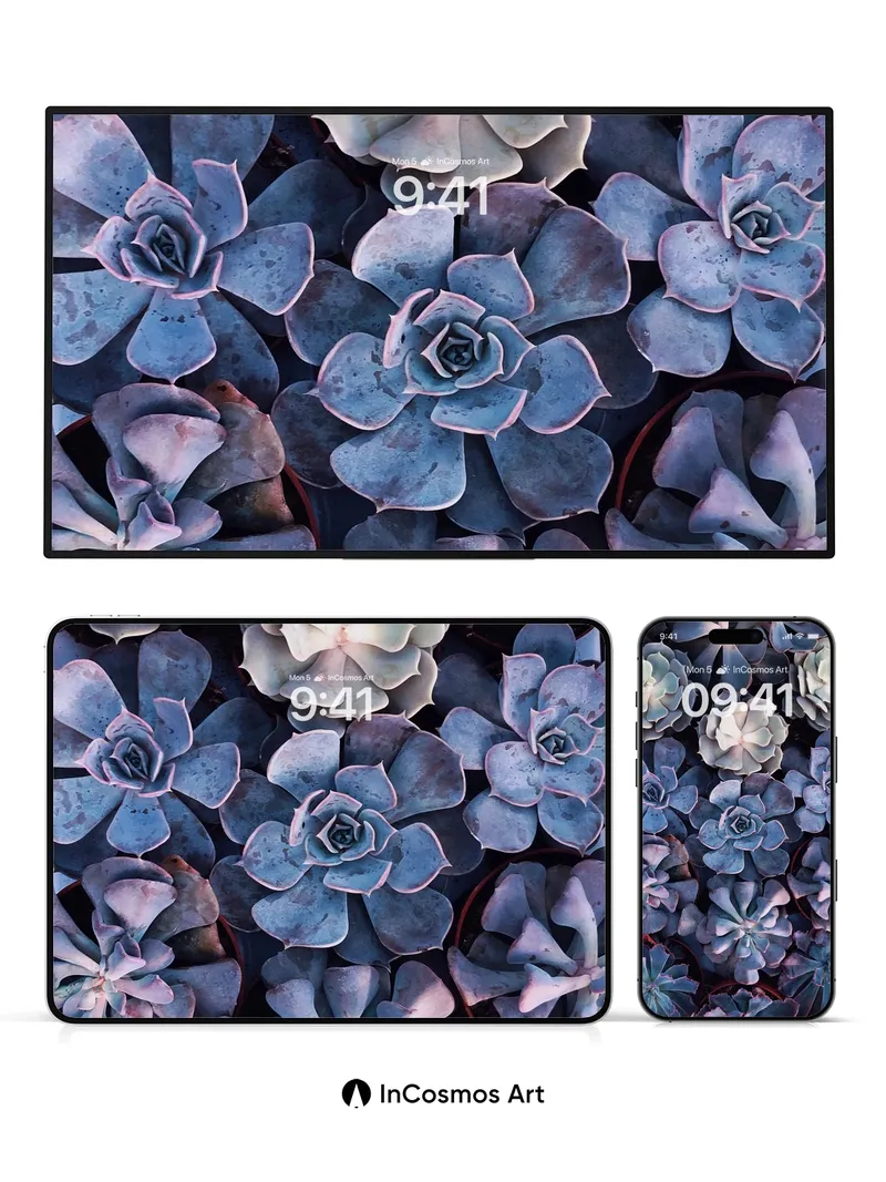 Serenity Succulent Wallpaper with Dew-Kissed Petals