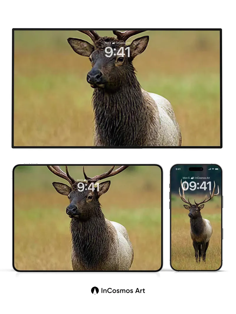 Silent Sentinel Wallpaper with Antlered Grace