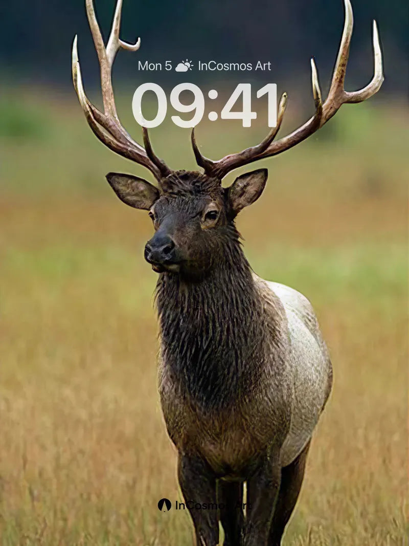 Silent Sentinel Wallpaper with Antlered Grace