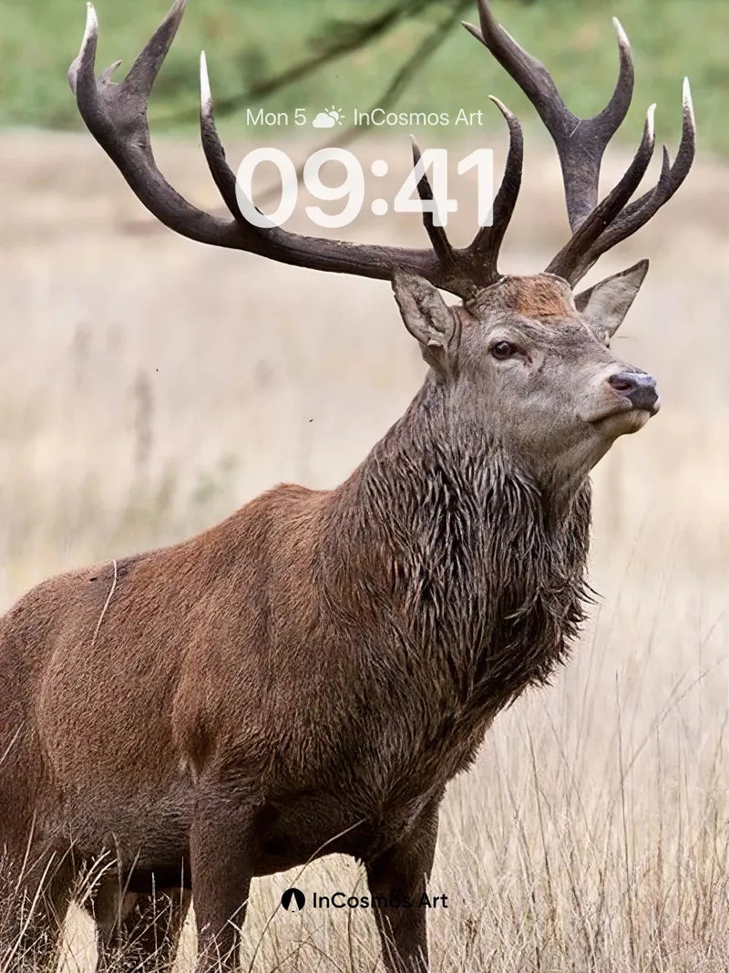 Serenity in Antler Wallpaper with Wild Grace