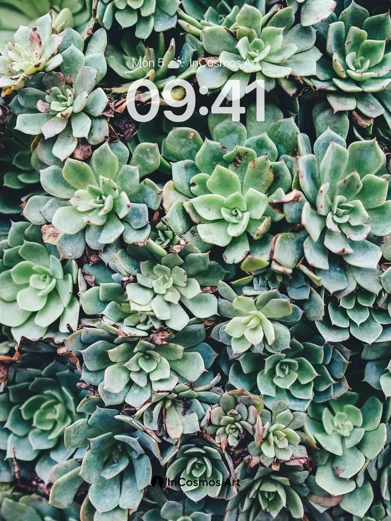 Serenity Succulent Wallpaper with Living Texture