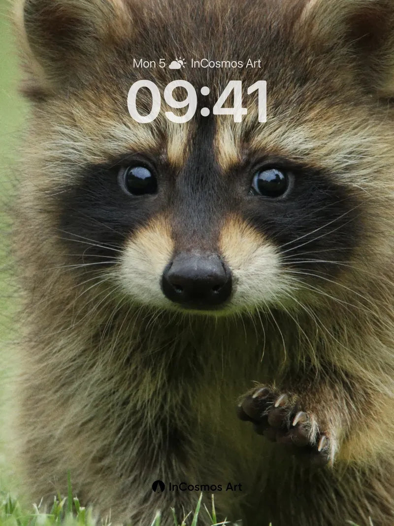 Whispering Paws Wallpaper with Forest Eyes