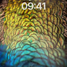 Iridescent Feather Wallpaper with Living Light wallpaper for iPhone, iPad & Mac