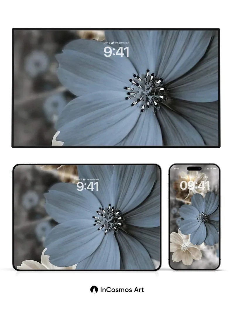 Serene Petal Wallpaper with Ethereal Light