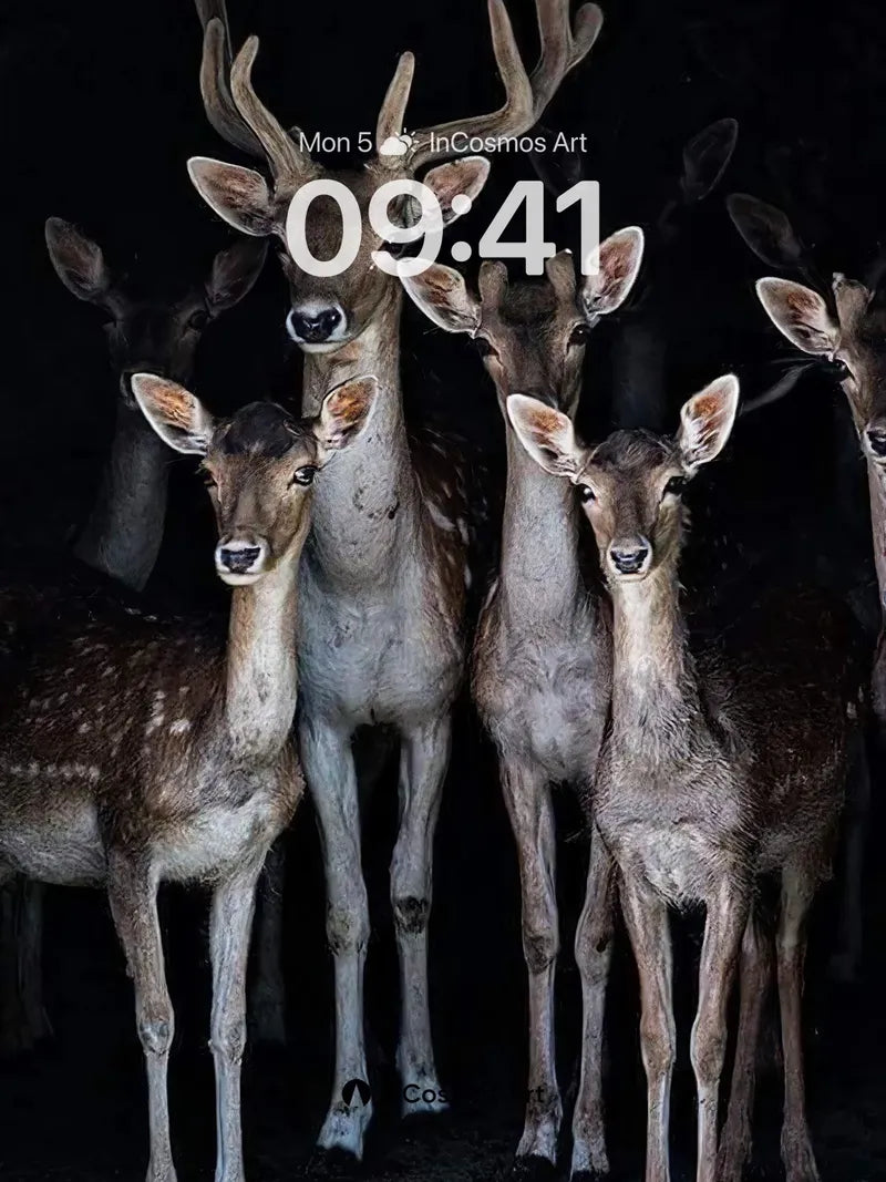 Silent Grove Wallpaper with Moonlit Eyes