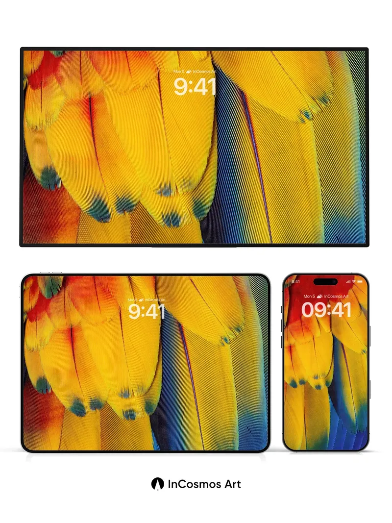 Rainbow Feather Wallpaper with Living Light