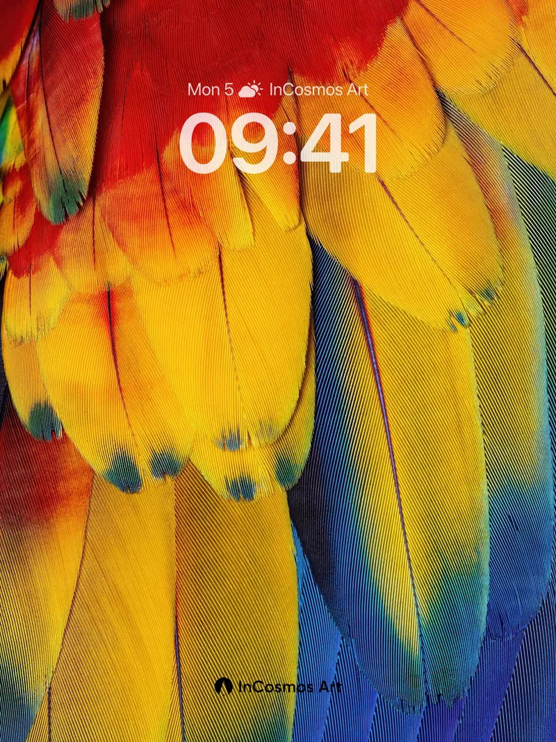 Rainbow Feather Wallpaper with Living Light