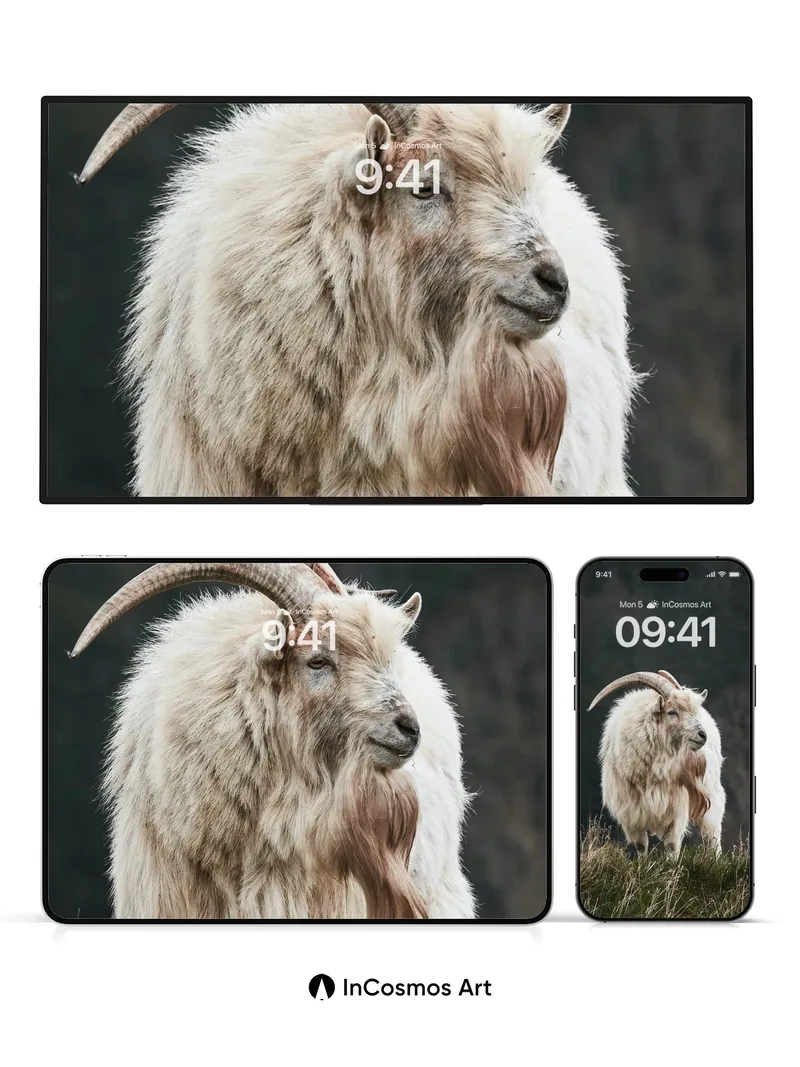 Silent Summit Wallpaper with Woolen Grace