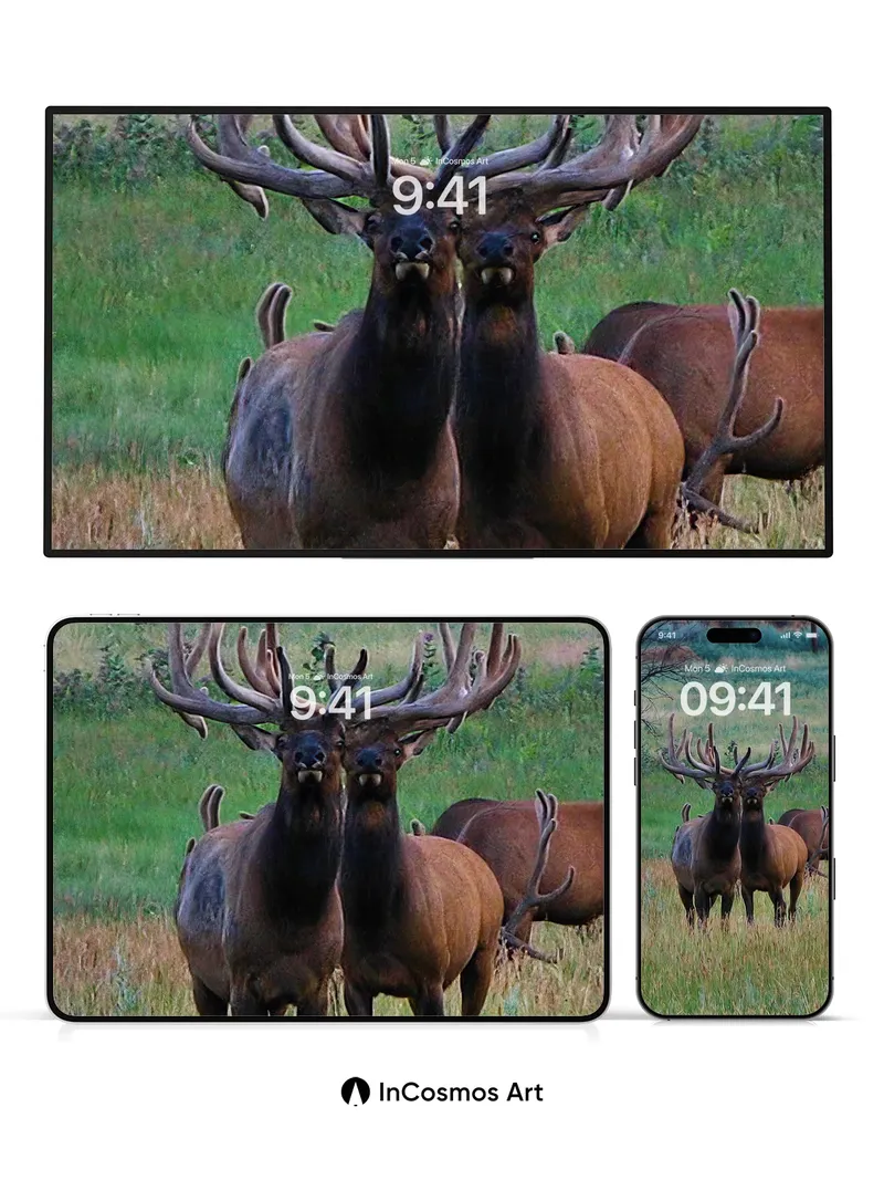 Silent Majesty Wallpaper with Antlered Grace