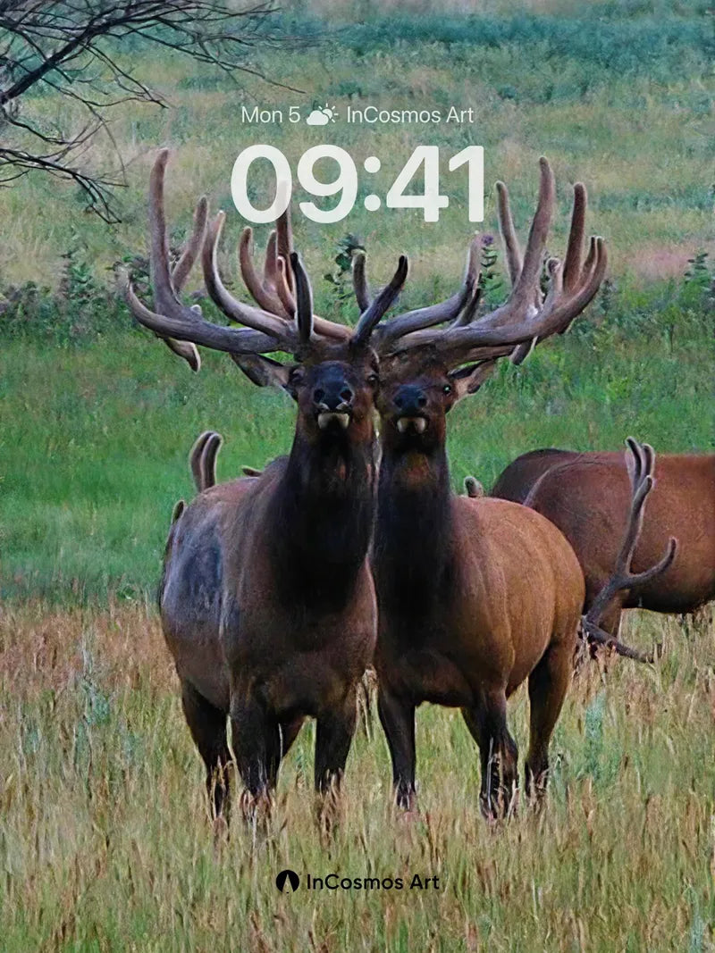 Silent Majesty Wallpaper with Antlered Grace