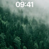 Whispering Pine Wallpaper in Misty Hush wallpaper for iPhone, iPad & Mac