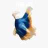 Sapphire Drift Wallpaper with Feathers of Light wallpaper for iPhone, iPad & Mac