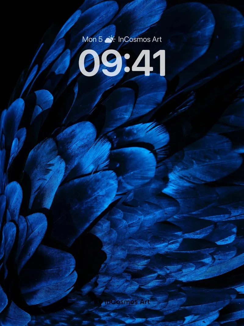 Midnight Feather Wallpaper with Electric Blue Hues