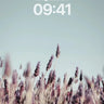 Serenity Lavender Field Wallpaper with Soft Sky Gradient wallpaper for iPhone, iPad & Mac