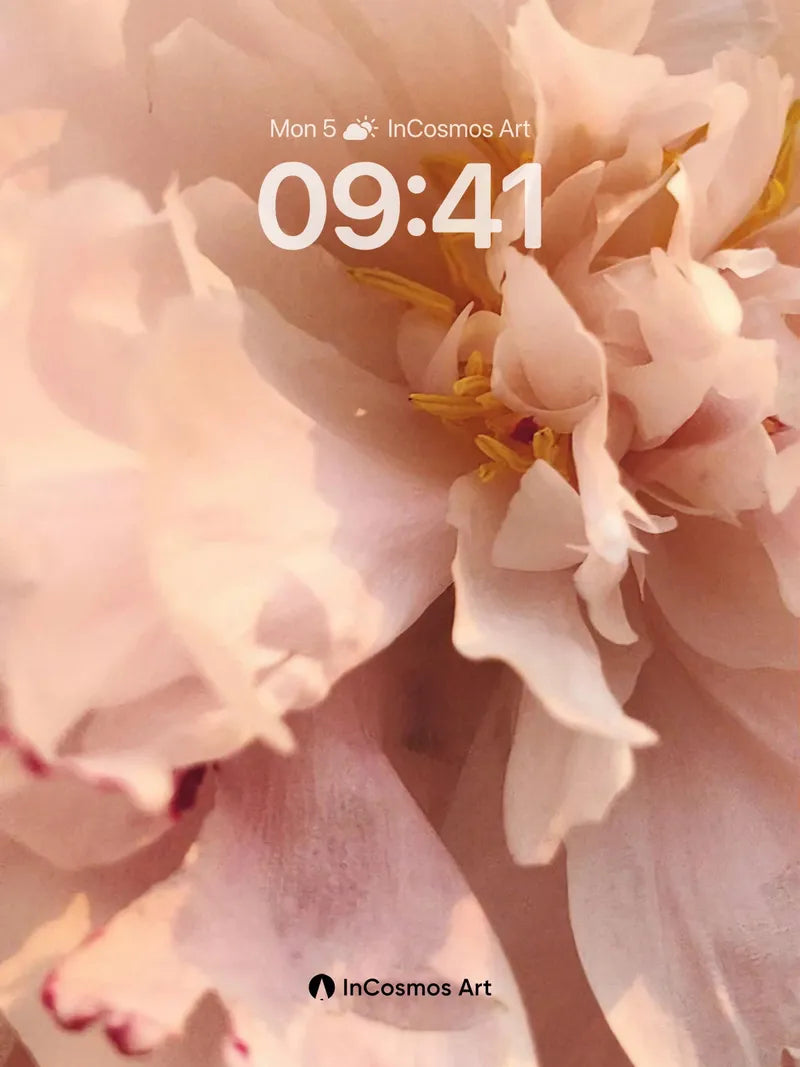 Soft Hush Wallpaper with Petal Veils