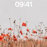 Whispering Poppy Field Wallpaper with Golden Wheat wallpaper for iPhone, iPad & Mac