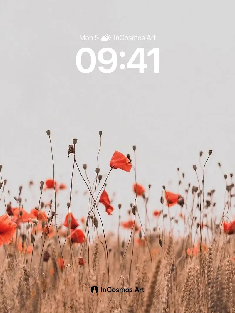Whispering Poppy Field Wallpaper with Golden Wheat