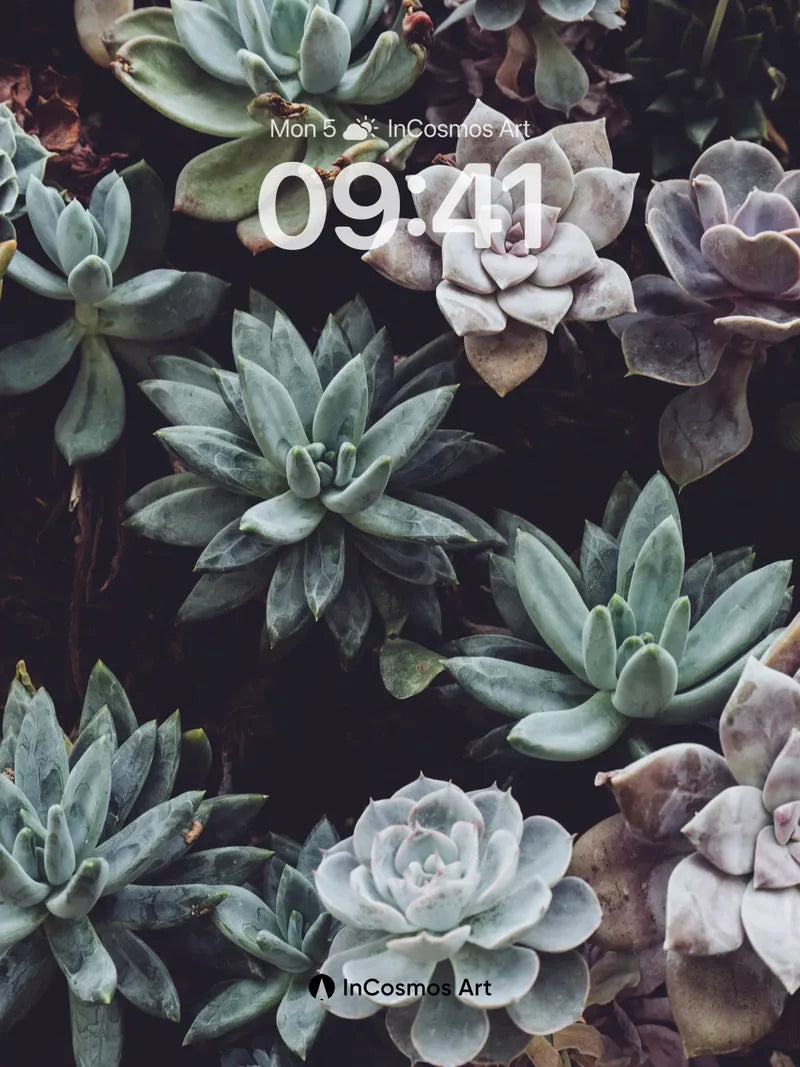 Serenity Succulent Wallpaper with Frost-Like Hues