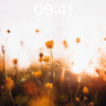 Golden Hush Wallpaper with Sunlit Petals wallpaper for iPhone, iPad & Mac