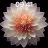 Serene Bloom Wallpaper with Petal Hues wallpaper for iPhone, iPad & Mac