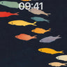 School of Colorful Fish Dark Background