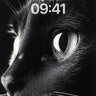 Shadowed Gaze Wallpaper with Silver Pupils wallpaper for iPhone, iPad & Mac