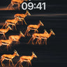 Golden Motion Wallpaper with Flickering Herd wallpaper for iPhone, iPad & Mac