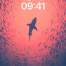 Coral Bloom Shark Background with Gradient Haze wallpaper for iPhone, iPad & Mac
