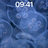Luminous Drift Wallpaper with Ethereal Veils wallpaper for iPhone, iPad & Mac
