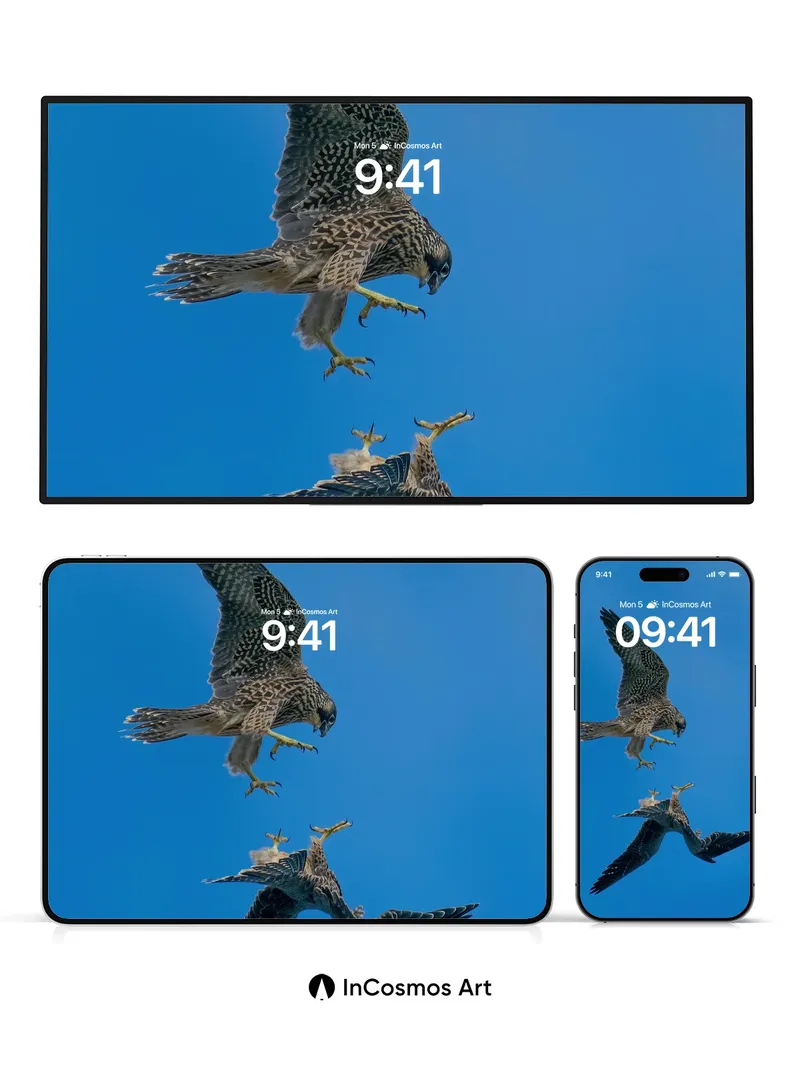 Skyward Duel Wallpaper with Feathered Grace