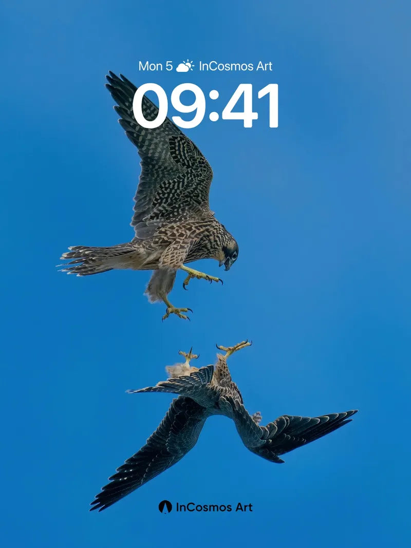 Skyward Duel Wallpaper with Feathered Grace