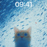 Frost-Whispered Cat Wallpaper with Floating Shadows wallpaper for iPhone, iPad & Mac