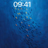 Deep Ocean School of Fish Wallpaper wallpaper for iPhone, iPad & Mac
