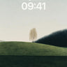 Serenity Willow Wallpaper with Mirror Water wallpaper for iPhone, iPad & Mac