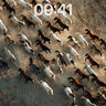 Dust-Whispered Herd Wallpaper with Wild Motion wallpaper for iPhone, iPad & Mac